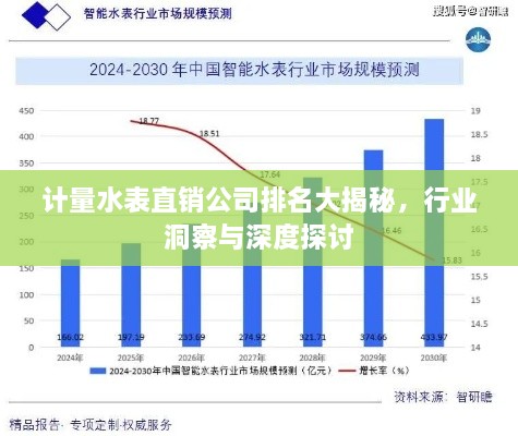 計(jì)量水表直銷(xiāo)公司排名大揭秘，行業(yè)洞察與深度探討