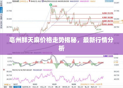 2025年2月8日 第5頁(yè)