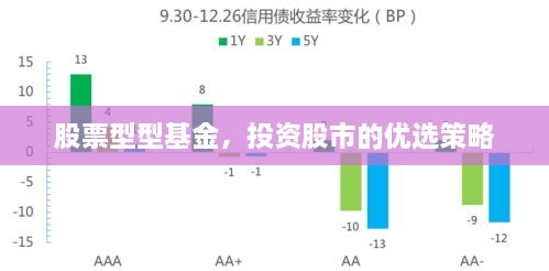 股票型型基金，投資股市的優(yōu)選策略