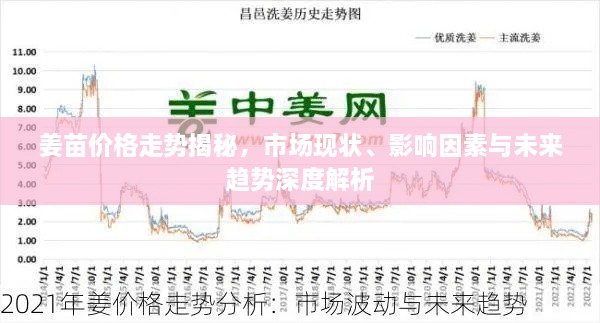 姜苗價格走勢揭秘，市場現(xiàn)狀、影響因素與未來趨勢深度解析