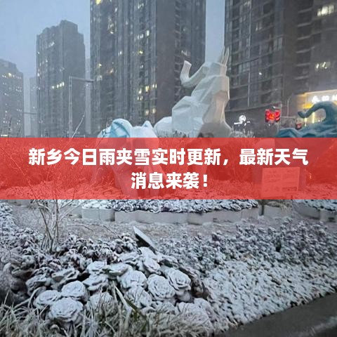 新鄉(xiāng)今日雨夾雪實時更新，最新天氣消息來襲！