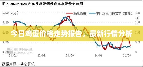 將計就計