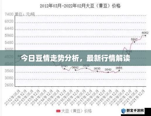 今日豆情走勢(shì)分析，最新行情解讀