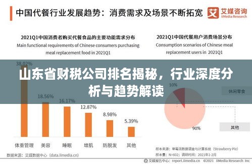 山東省財(cái)稅公司排名揭秘，行業(yè)深度分析與趨勢(shì)解讀