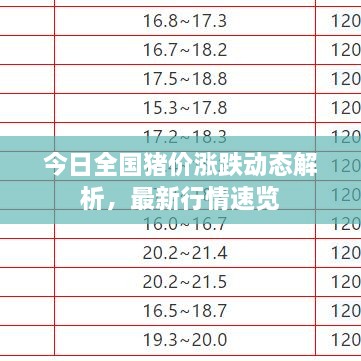 今日全國豬價漲跌動態(tài)解析，最新行情速覽