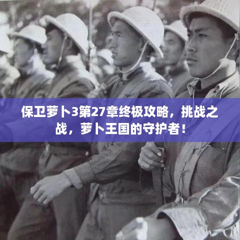 保衛(wèi)蘿卜3第27章終極攻略，挑戰(zhàn)之戰(zhàn)，蘿卜王國的守護(hù)者！