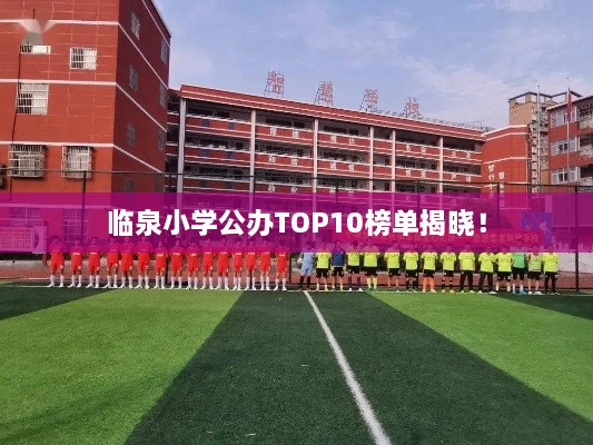 臨泉小學(xué)公辦TOP10榜單揭曉！