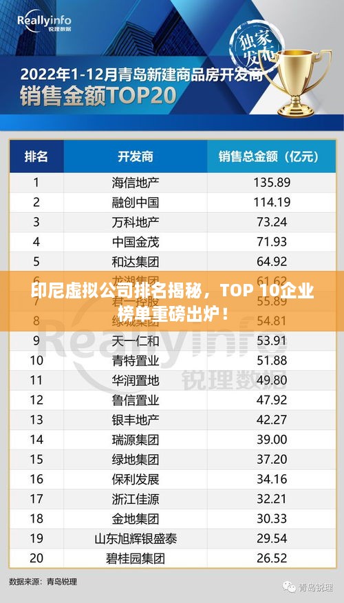 印尼虛擬公司排名揭秘，TOP 10企業(yè)榜單重磅出爐！