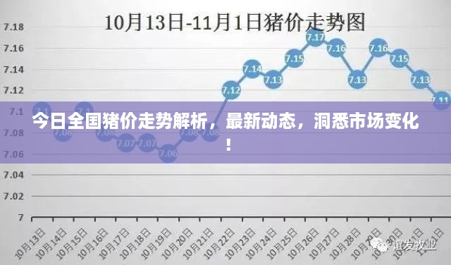 今日全國豬價走勢解析，最新動態(tài)，洞悉市場變化！