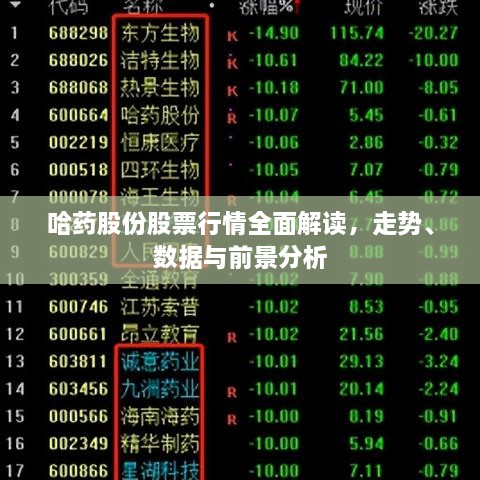 哈藥股份股票行情全面解讀，走勢、數(shù)據(jù)與前景分析