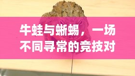 牛蛙與蜥蜴，一場(chǎng)不同尋常的競(jìng)技對(duì)決