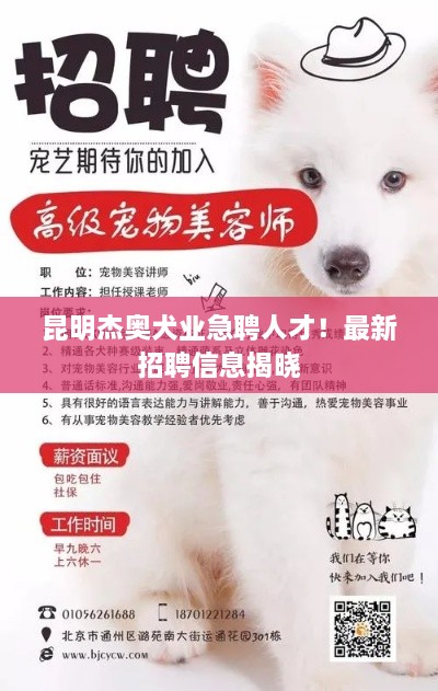 昆明杰奧犬業(yè)急聘人才！最新招聘信息揭曉