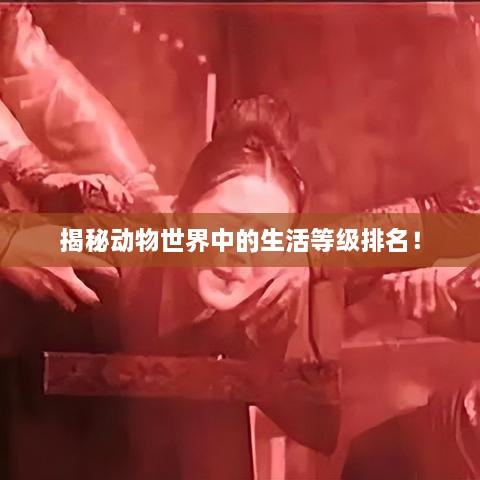 揭秘動(dòng)物世界中的生活等級(jí)排名！