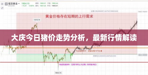 大慶今日豬價走勢分析，最新行情解讀