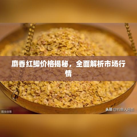 麝香紅鯽價格揭秘，全面解析市場行情