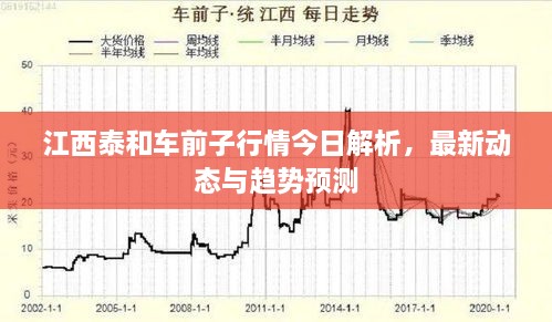 江西泰和車前子行情今日解析，最新動(dòng)態(tài)與趨勢(shì)預(yù)測(cè)