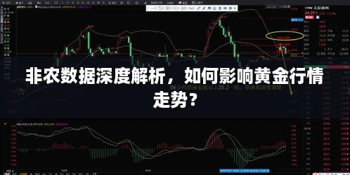 非農(nóng)數(shù)據(jù)深度解析，如何影響黃金行情走勢(shì)？