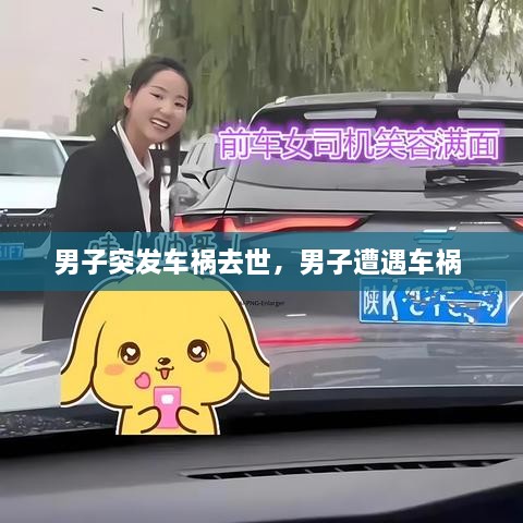 男子突發(fā)車禍去世，男子遭遇車禍 