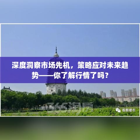 深度洞察市場先機(jī)，策略應(yīng)對未來趨勢——你了解行情了嗎？