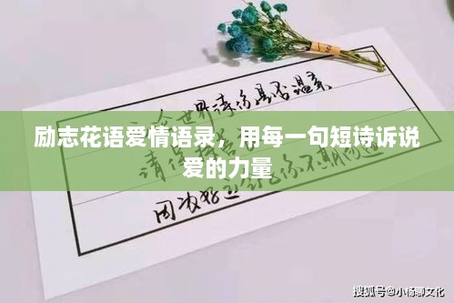 勵志花語愛情語錄，用每一句短詩訴說愛的力量