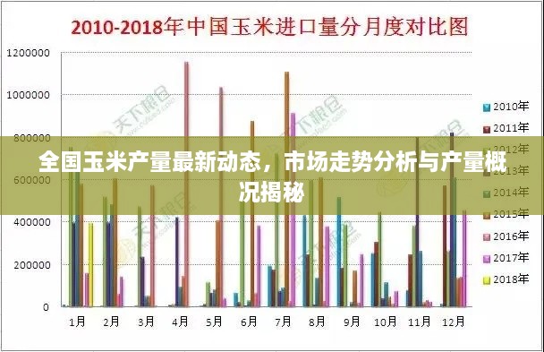 全國玉米產量最新動態(tài)，市場走勢分析與產量概況揭秘