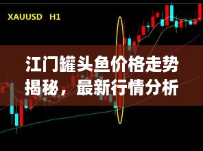 江門罐頭魚價格走勢揭秘，最新行情分析