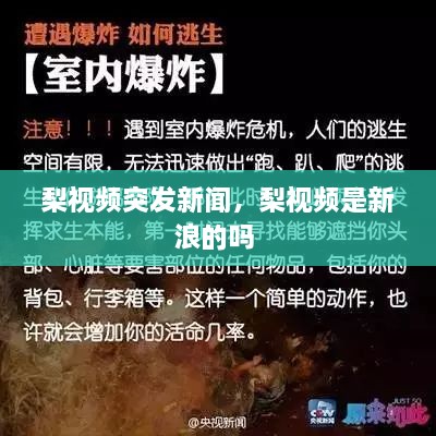 梨視頻突發(fā)新聞，梨視頻是新浪的嗎 