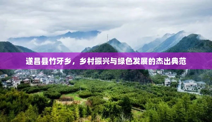 遂昌縣竹牙鄉(xiāng)，鄉(xiāng)村振興與綠色發(fā)展的杰出典范