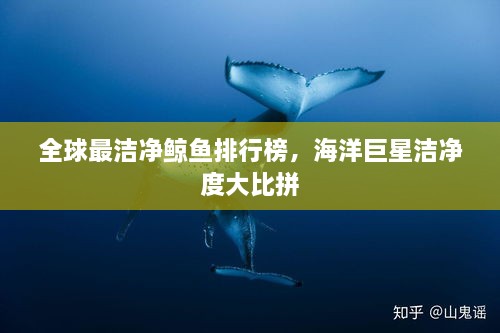 全球最潔凈鯨魚排行榜，海洋巨星潔凈度大比拼