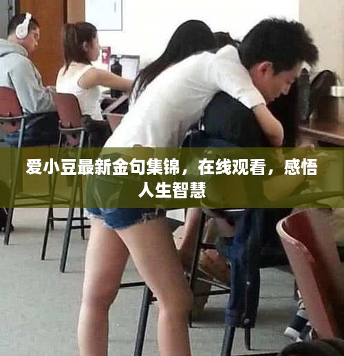 愛小豆最新金句集錦，在線觀看，感悟人生智慧