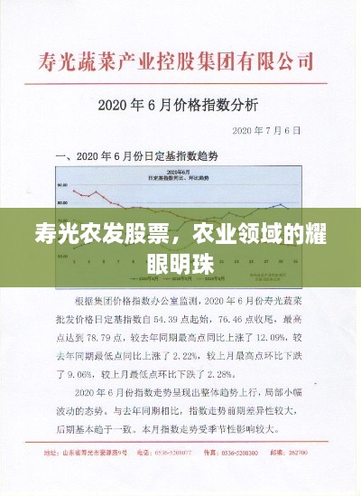 壽光農(nóng)發(fā)股票，農(nóng)業(yè)領(lǐng)域的耀眼明珠