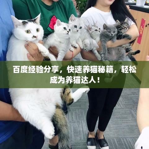 百度經(jīng)驗(yàn)分享，快速養(yǎng)貓秘籍，輕松成為養(yǎng)貓達(dá)人！