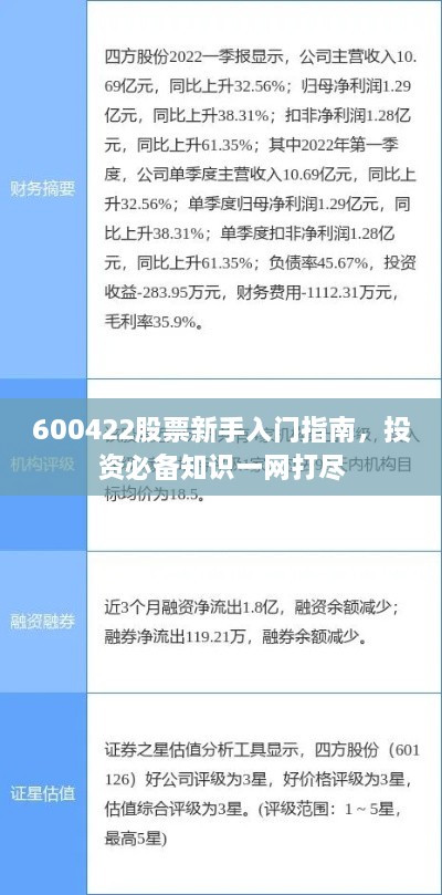600422股票新手入門指南，投資必備知識一網打盡