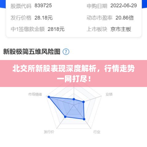 北交所新股表現(xiàn)深度解析，行情走勢(shì)一網(wǎng)打盡！