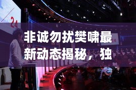 非誠勿擾樊嘯最新動(dòng)態(tài)揭秘，獨(dú)家爆料吸引眼球！