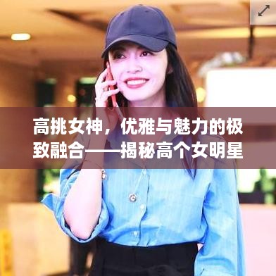 高挑女神，優(yōu)雅與魅力的極致融合——揭秘高個女明星的魅力風采